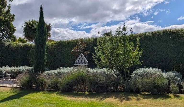 Garden maintenance by Lawn Squad