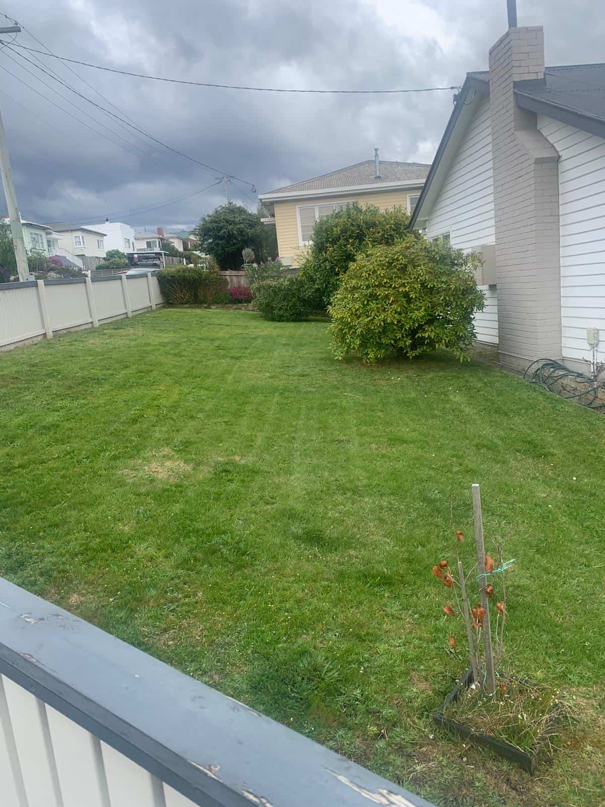how to aerate your lawn