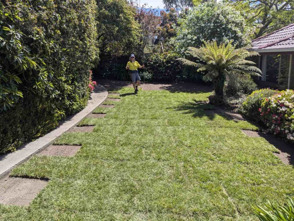 Lawn Installation in Hobart