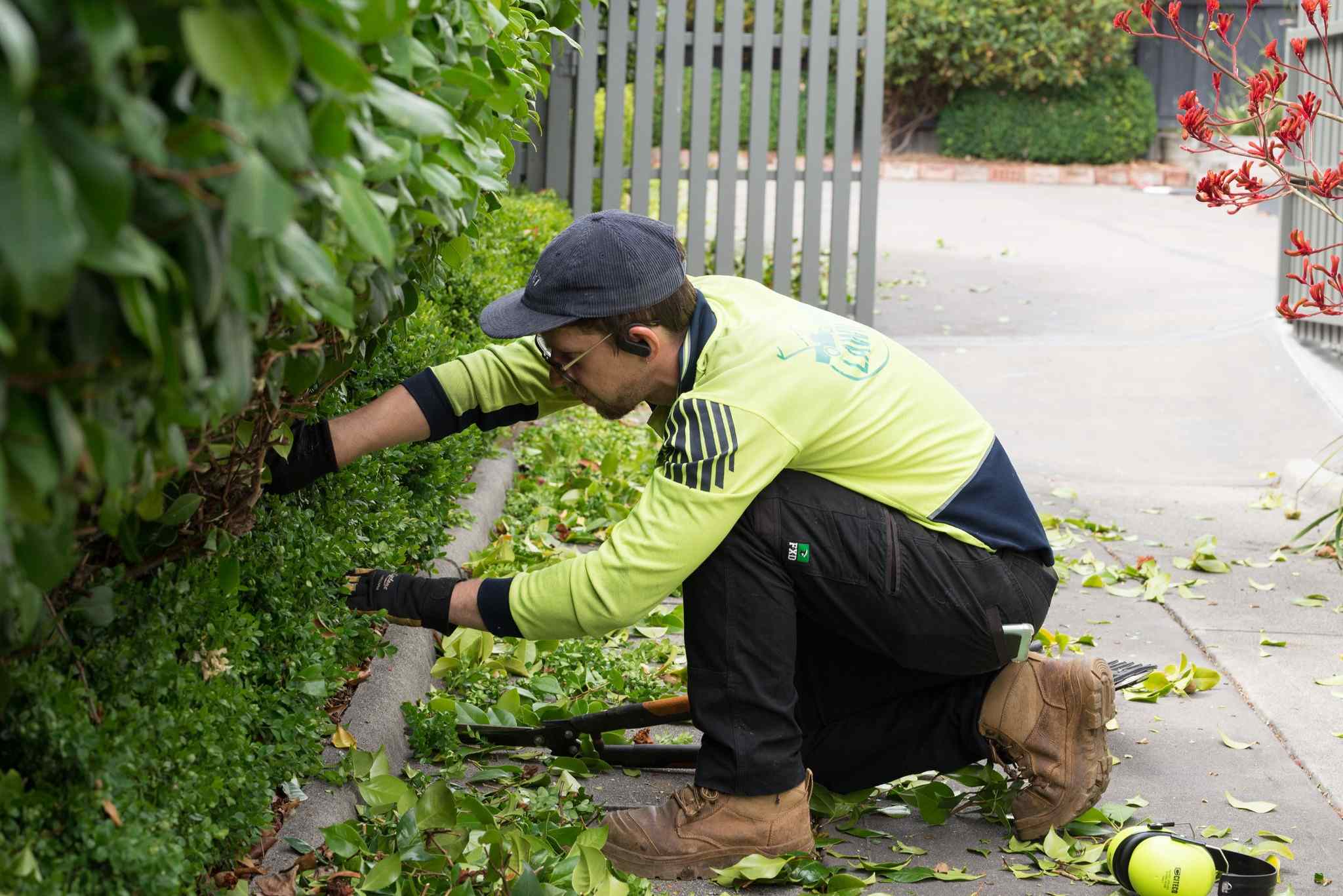 hedge and pruning