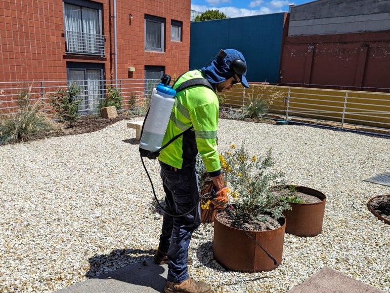lawn fertilisation hobart