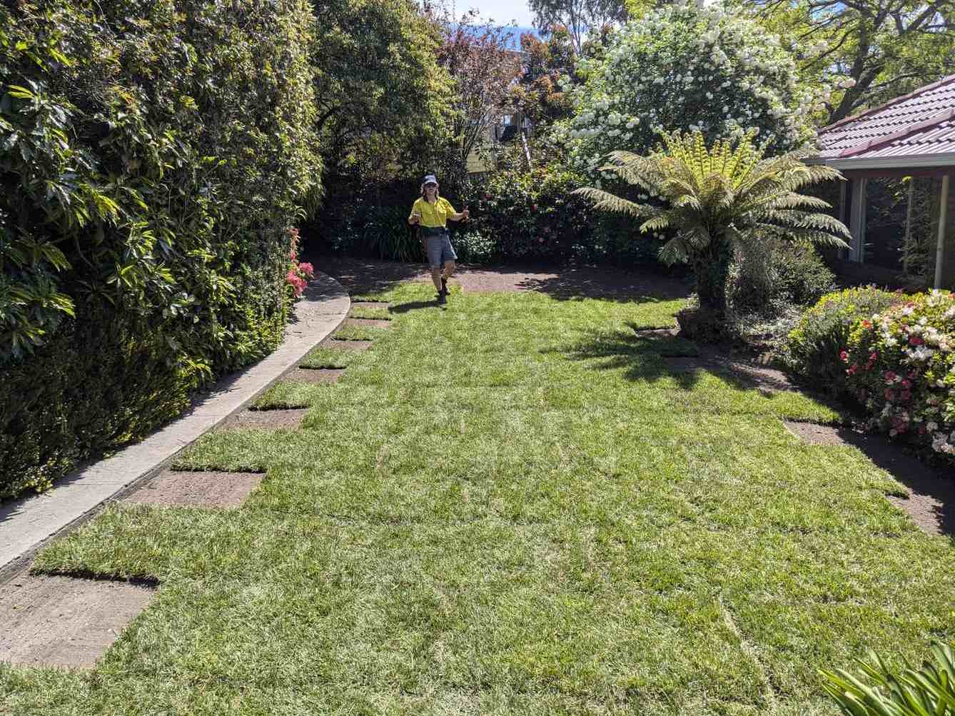 lawn installation hobart