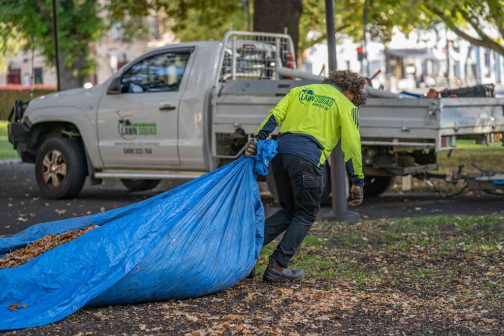 garden clean up